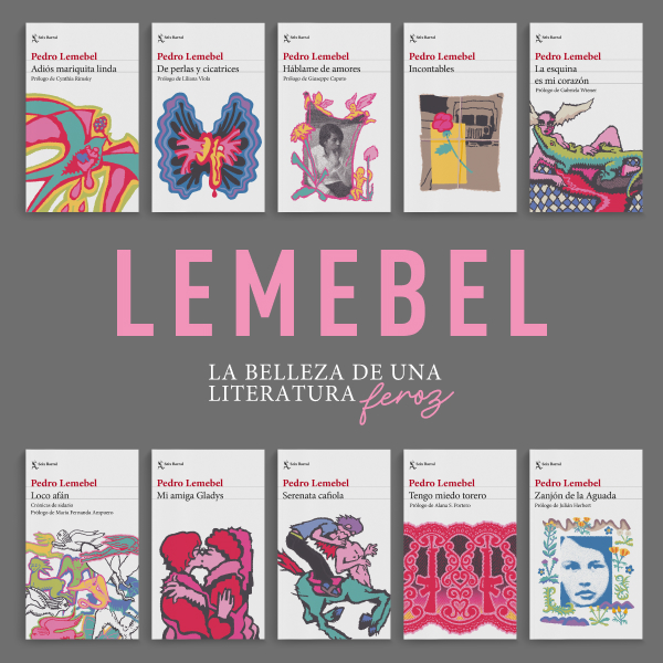 Banner Biblioteca Pedro Lemebel