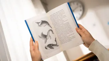 Imagen extra Amanda y los monstruos marinos 1