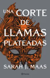 Portada Una corte de llamas plateadas