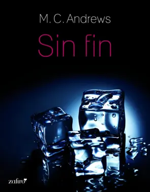 Portada Sin fin