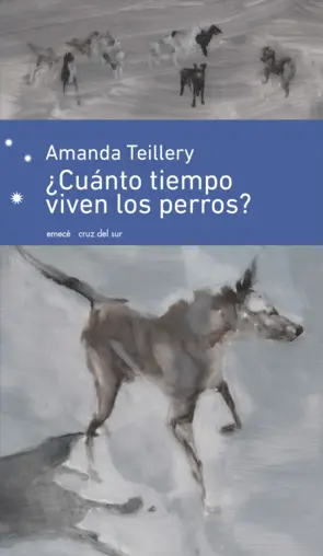 Portada ¿Cuánto tiempo viven los perros?
