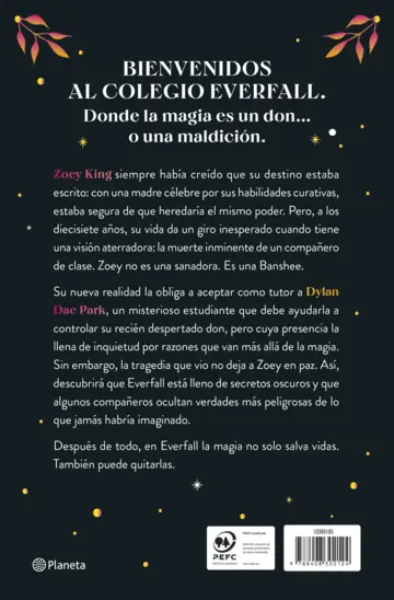 Contraportada La princesa encantada (Serie Everfall 1)