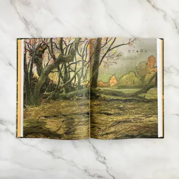 Imagen extra La vida secreta de los árboles 2