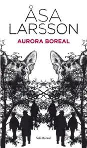 Portada Aurora boreal