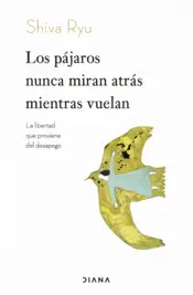 Portada Los pájaros nunca miran atrás mientras vuelan