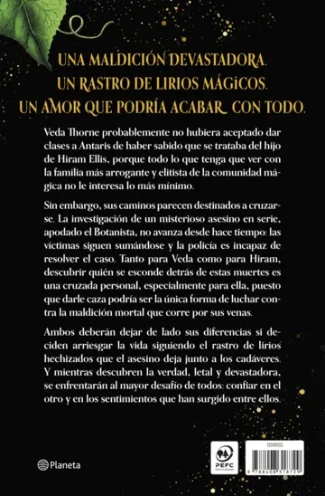 Contraportada Sight Unseen. Bajo el mismo hechizo