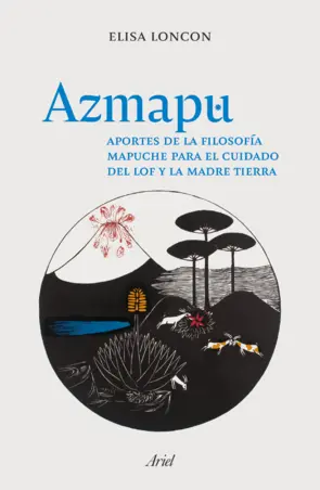 Portada Azmapu