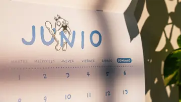 Imagen extra Calendario Alberto Montt 3