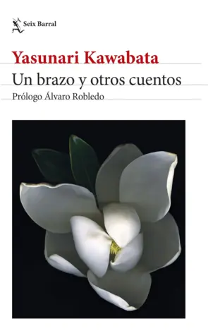 Portada Un brazo y otros cuentos. Edición 2024