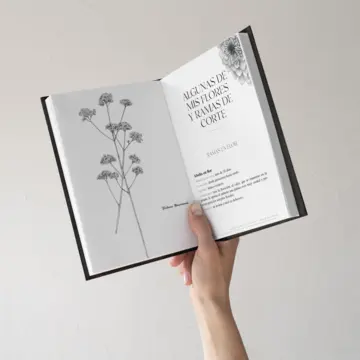 Imagen extra Tocar tierra 2