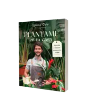 Miniatura portada 3d Plántame en tu casa