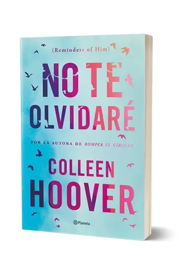 Portada No te olvidaré (Reminders of Him)