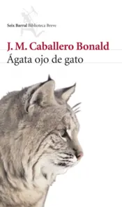 Portada Ágata ojo de gato