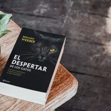 Imagen extra El despertar de los gatos 0